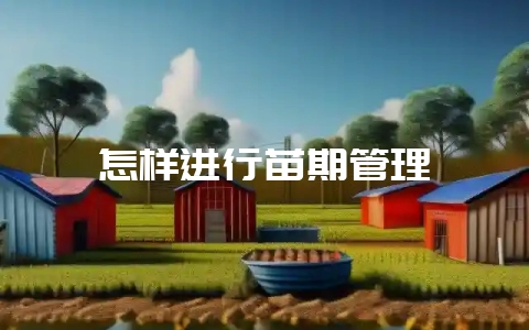 怎样进行苗期管理-会东网