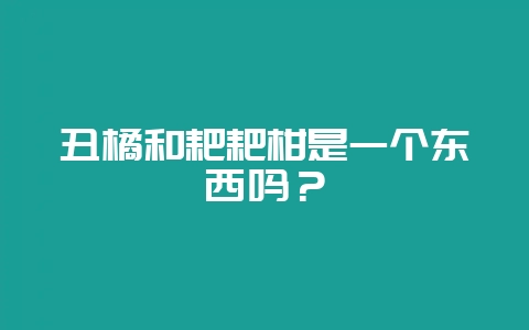 丑橘和耙耙柑是一个东西吗？-会东网