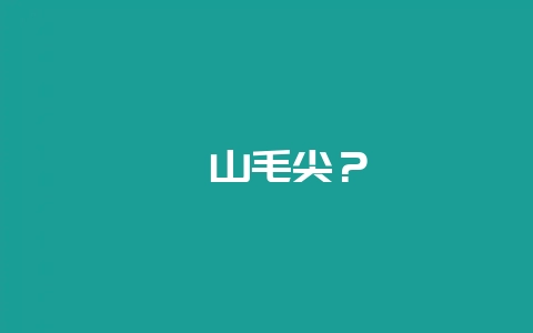 沩山毛尖?-会东网