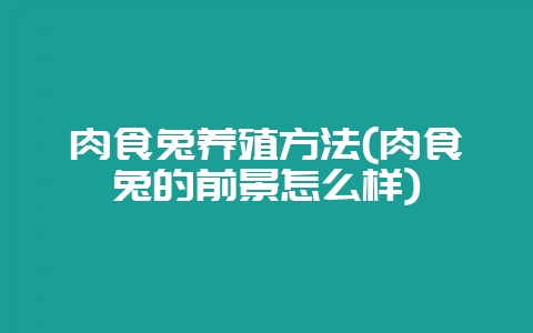 肉食兔养殖方法(肉食兔的前景怎么样)-会东网