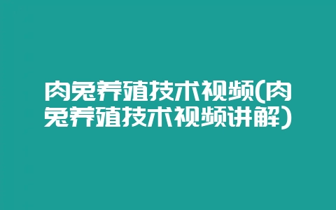 肉兔养殖技术视频(肉兔养殖技术视频讲解)-会东网