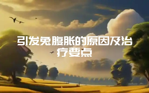 引发兔腹胀的原因及治疗要点-会东网