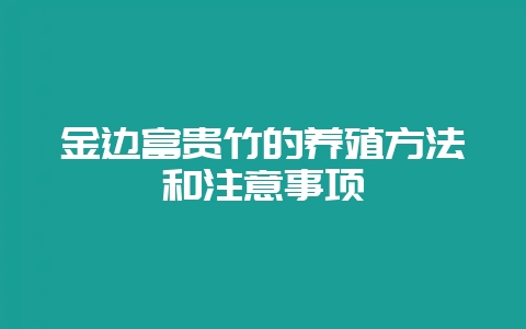 金边富贵竹的养殖方法和注意事项-会东网
