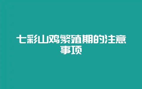 七彩山鸡繁殖期的注意事项-会东网