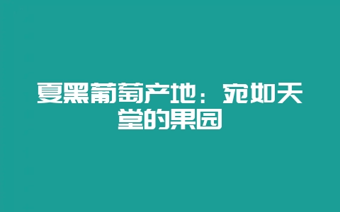 夏黑葡萄产地:宛如天堂的果园-会东网