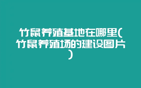 竹鼠养殖基地在哪里(竹鼠养殖场的建设图片)-会东网