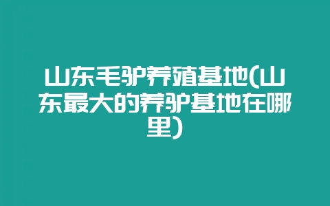 山东毛驴养殖基地(山东最大的养驴基地在哪里)-会东网