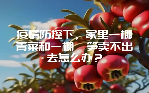 疫情防控下，家里一棚青菜和一棚莴笋卖不出去怎么办？-会东网