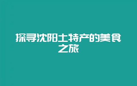 探寻沈阳土特产的美食之旅-会东网