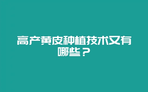 高产黄皮种植技术又有哪些？-会东网