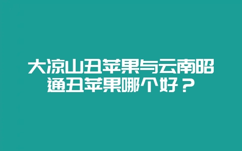 大凉山丑苹果与云南昭通丑苹果哪个好?-会东网