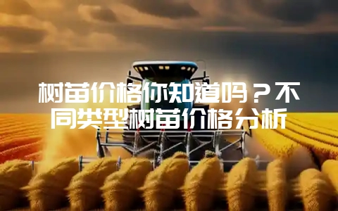 树苗价格你知道吗？不同类型树苗价格分析-会东网