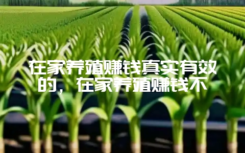 在家养殖赚钱真实有效的，在家养殖赚钱不-会东网