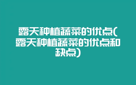 露天种植蔬菜的优点(露天种植蔬菜的优点和缺点)-会东网