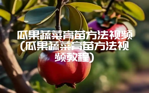 瓜果蔬菜育苗方法视频(瓜果蔬菜育苗方法视频教程)-会东网