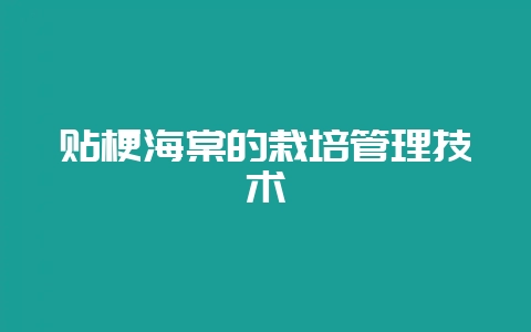 贴梗海棠的栽培管理技术-会东网