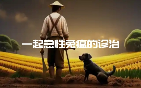 一起急性兔瘟的诊治-会东网