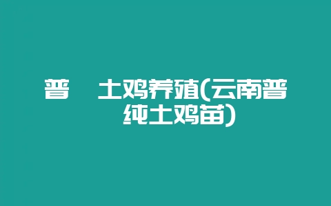 普洱土鸡养殖(云南普洱纯土鸡苗)-会东网