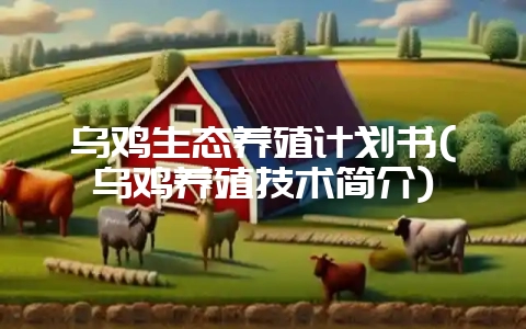 乌鸡生态养殖计划书(乌鸡养殖技术简介)-会东网