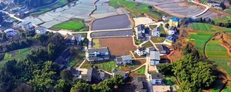 农村创业有哪些方面的优势,了解后你还会抱怨吗-会东网