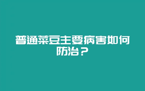 普通菜豆主要病害如何防治？-会东网