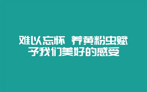 难以忘怀 养黄粉虫赋予我们美好的感受-会东网