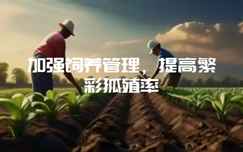 加强饲养管理，提高繁彩狐殖率-会东网