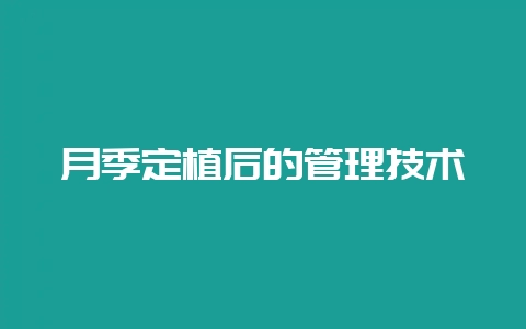 月季定植后的管理技术-会东网