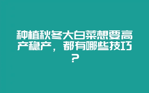 种植秋冬大白菜想要高产稳产,都有哪些技巧?-会东网