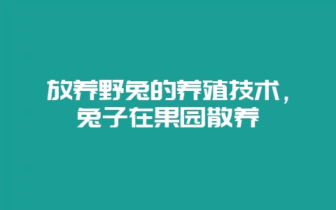 放养野兔的养殖技术，兔子在果园散养-会东网