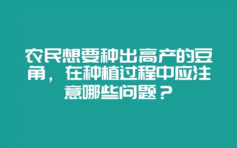 农民想要种出高产的豆角，在种植过程中应注意哪些问题？-会东网