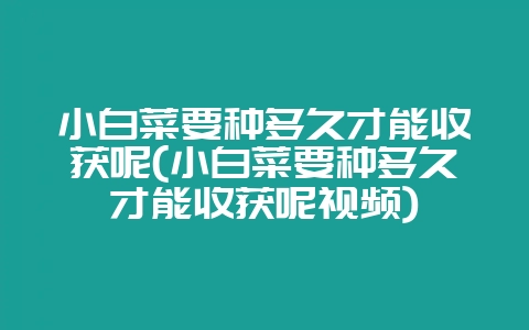 小白菜要种多久才能收获呢(小白菜要种多久才能收获呢视频)-会东网