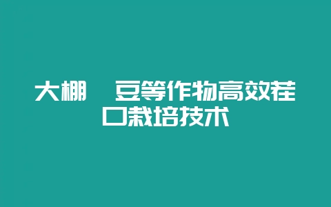 大棚豇豆等作物高效茬口栽培技术-会东网