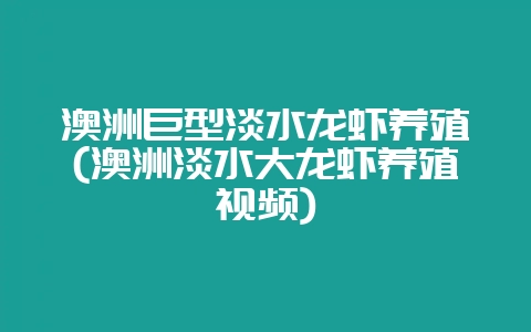 澳洲巨型淡水龙虾养殖(澳洲淡水大龙虾养殖视频)-会东网