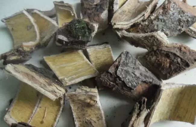合欢皮的功效与作用-会东网