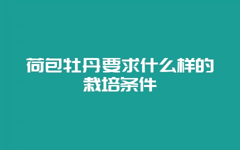 荷包牡丹要求什么样的栽培条件-会东网