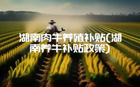 湖南肉牛养殖补贴(湖南养牛补贴政策)-会东网