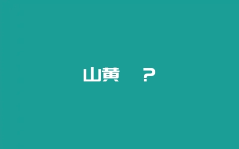 山黄鳝？-会东网