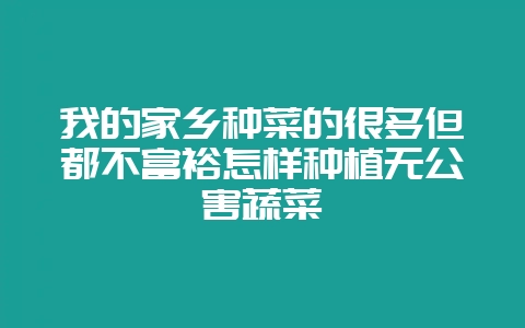 我的家乡种菜的很多但都不富裕怎样种植无公害蔬菜-会东网