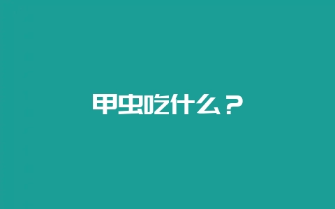 甲虫吃什么？-会东网