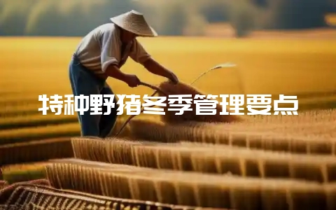 特种野猪冬季管理要点-会东网