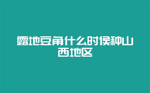 露地豆角什么时侯种山西地区-会东网
