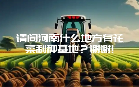 请问河南什么地方有花菜制种基地?谢谢!-会东网