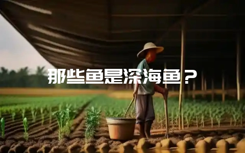 那些鱼是深海鱼？-会东网
