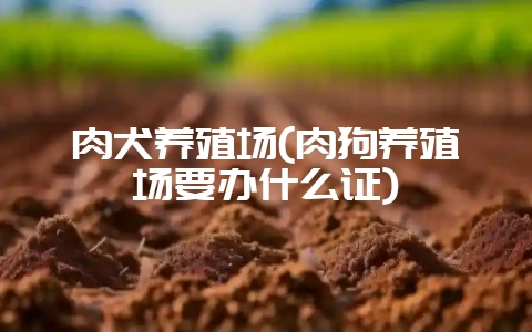 肉犬养殖场(肉狗养殖场要办什么证)-会东网