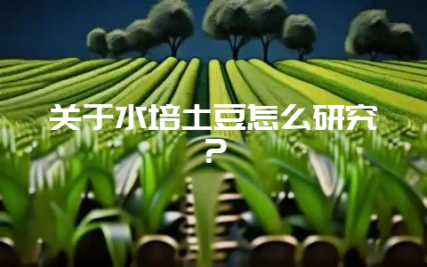 关于水培土豆怎么研究？-会东网