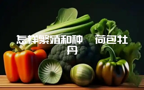 怎样繁殖和种楗荷包牡丹-会东网