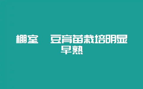 棚室豇豆育苗栽培明显早熟-会东网