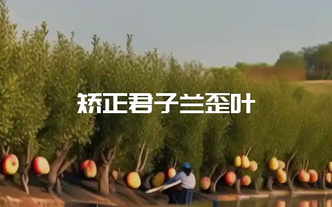 矫正君子兰歪叶-会东网