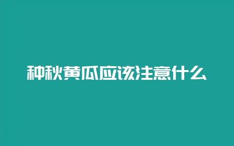 种秋黄瓜应该注意什么-会东网